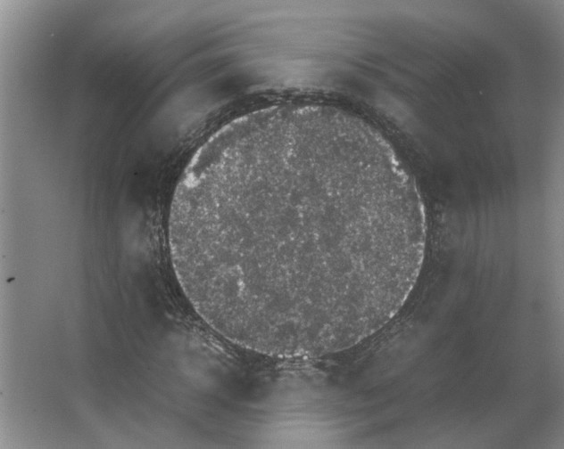 X0000066520918200604141810