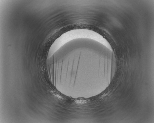 X0000066520919200604141810