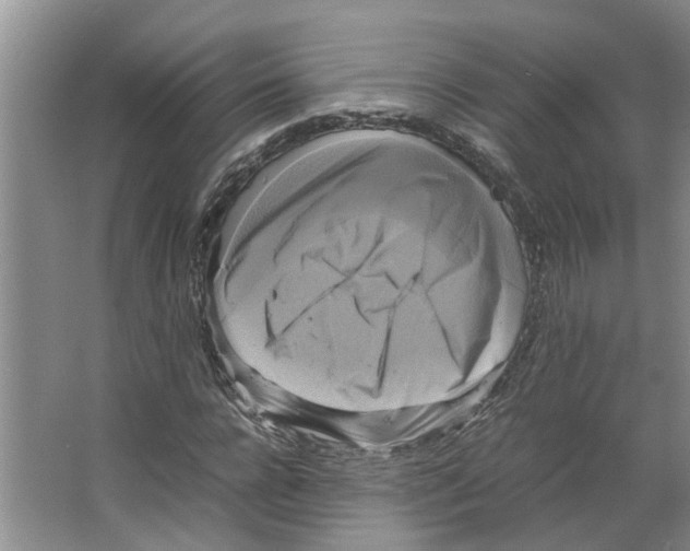 X0000066520920200604141810