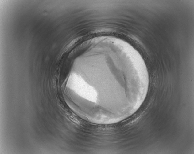 X0000066520921200604141810