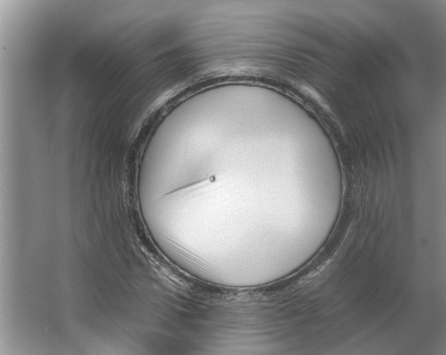 X0000066520922200604141810