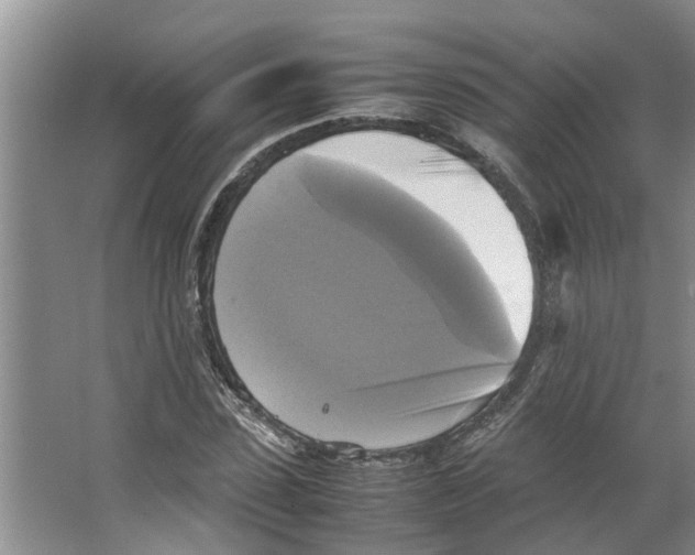 X0000066520923200604141810