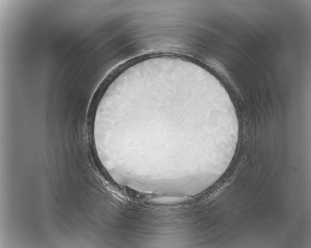 X0000066520924200604141810