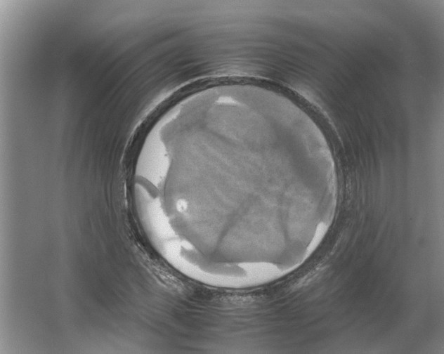 X0000066520925200604141810