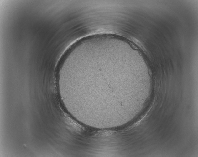 X0000066520926200604141810