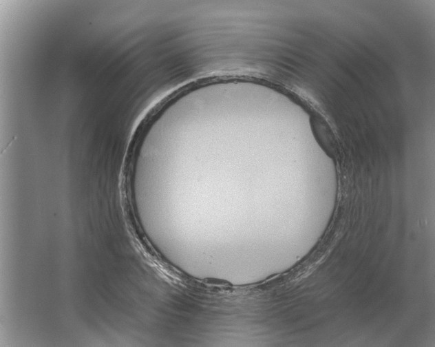 X0000066520928200604141810