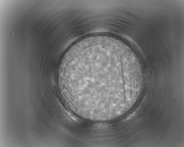 X0000066520929200604141810