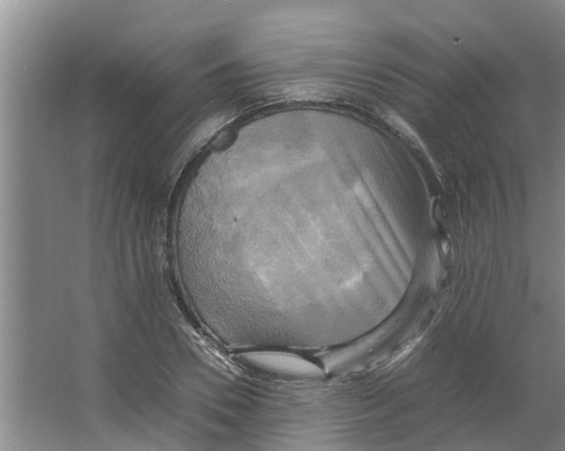 X0000066520930200604141810