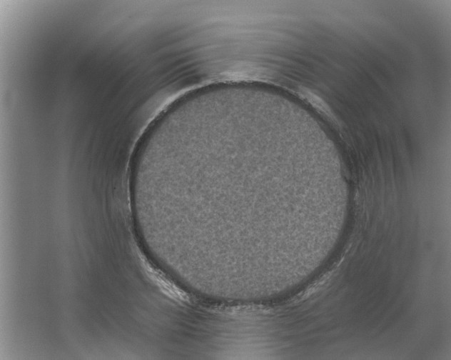 X0000066520934200604141810