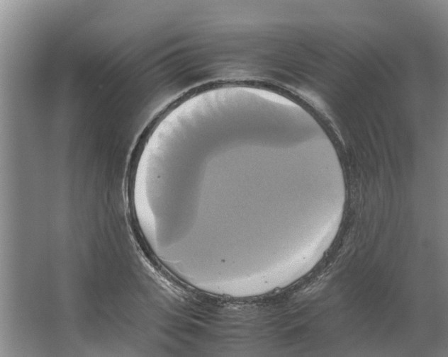 X0000066520935200604141810