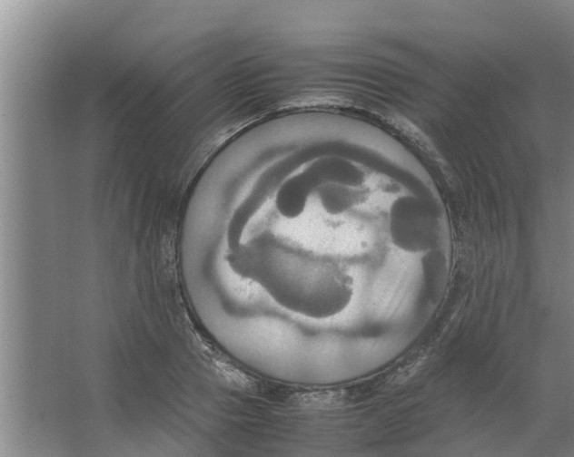 X0000066520937200604141810