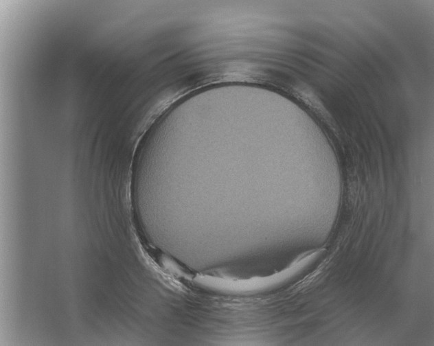 X0000066520938200604141810