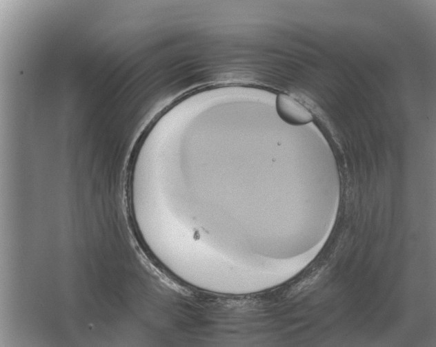 X0000066520941200604141810