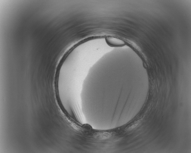 X0000066520943200604141810