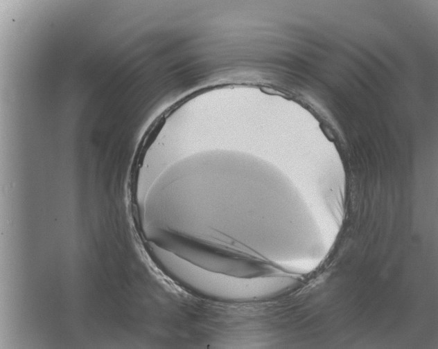 X0000066520944200604141810