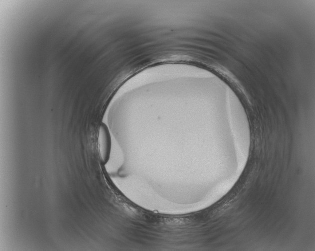 X0000066520945200604141810