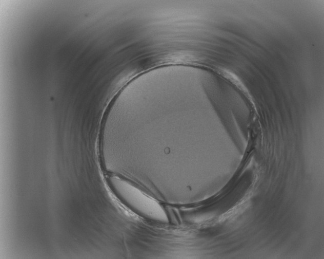 X0000066520946200604141810