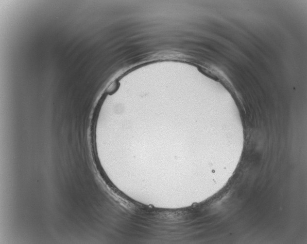 X0000066520947200604141810