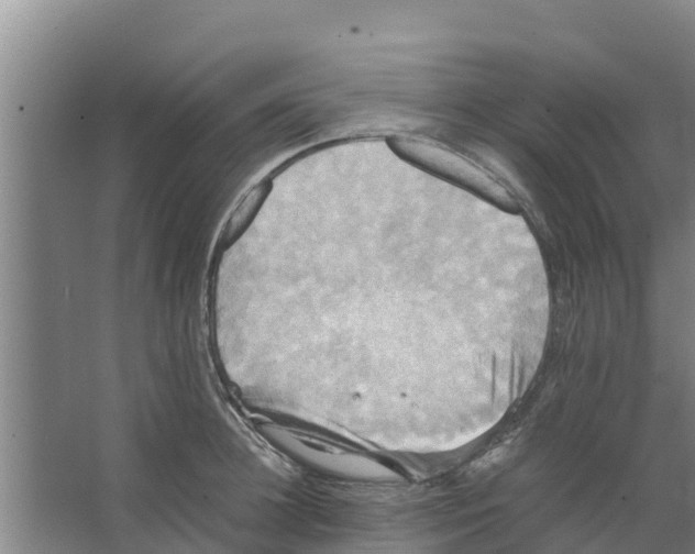 X0000066520948200604141810