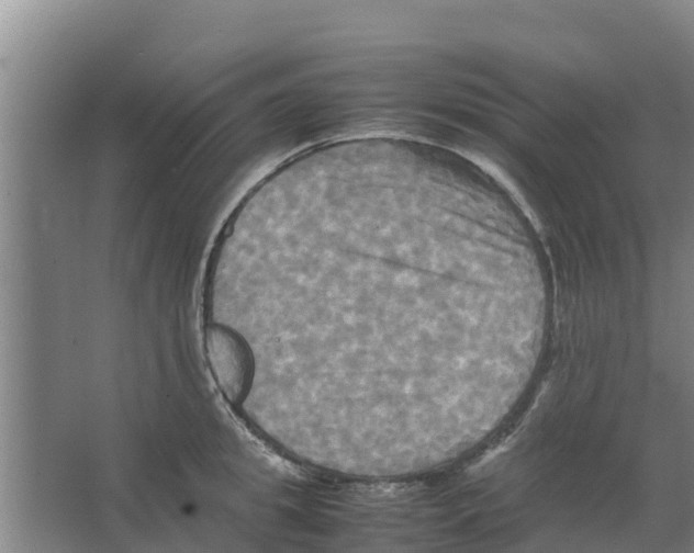 X0000066520949200604141810