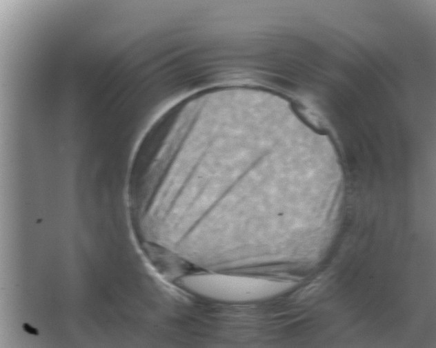 X0000066520951200604141810