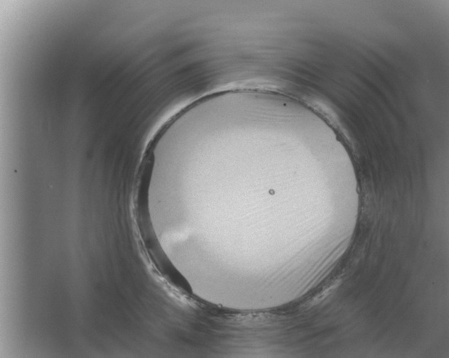 X0000066520952200604141810