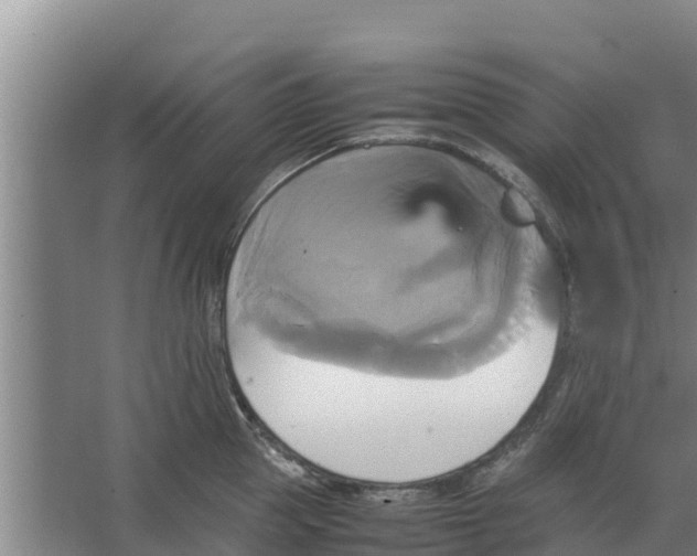 X0000066520953200604141810