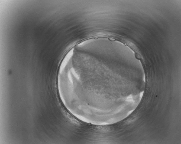 X0000066520954200604141810