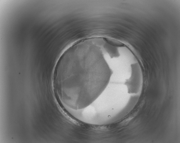 X0000066520957200604141810