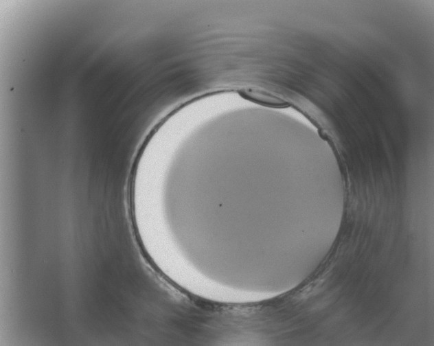 X0000066520958200604141810