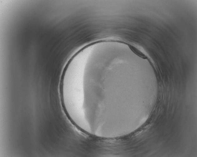 X0000066520959200604141810