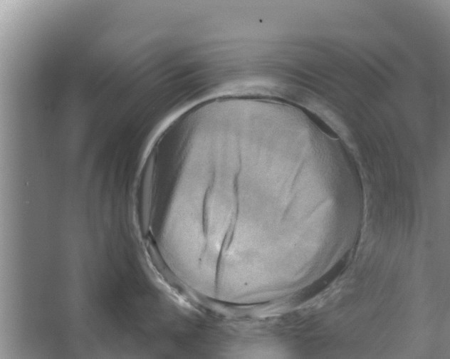 X0000066520960200604141810