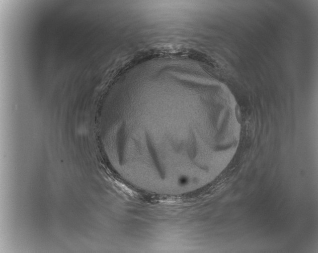 X0000066520961200604141810