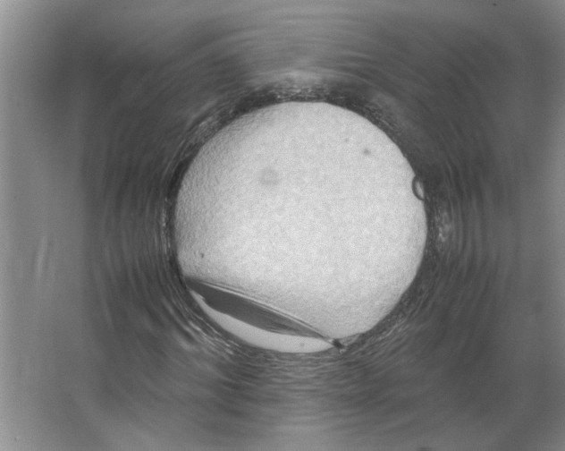 X0000066520964200604141810