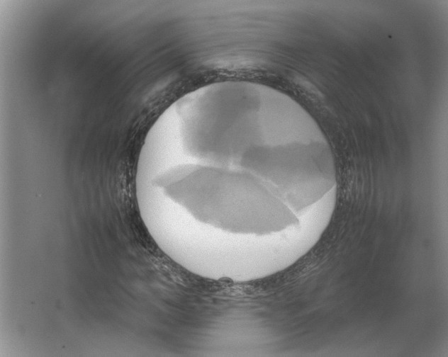 X0000066520966200604141810