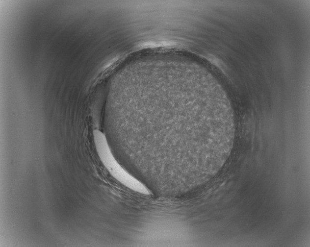 X0000066520967200604141810