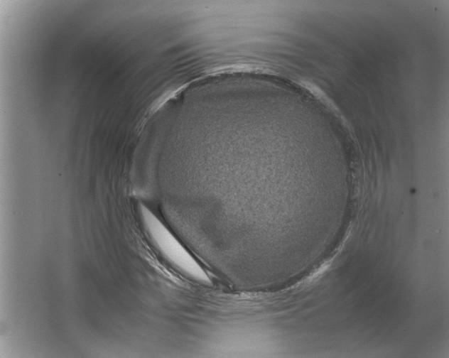 X0000066520969200604141810