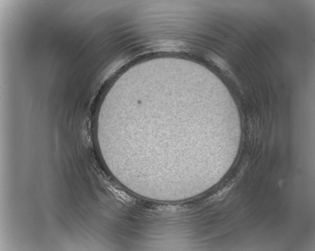 X0000066520970200604141810