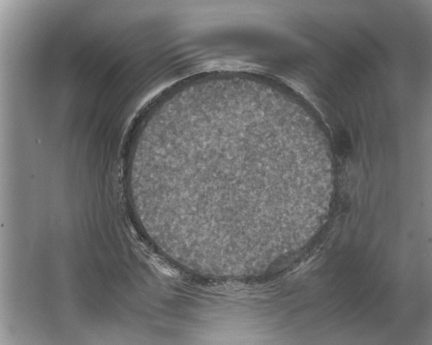 X0000066520971200604141809