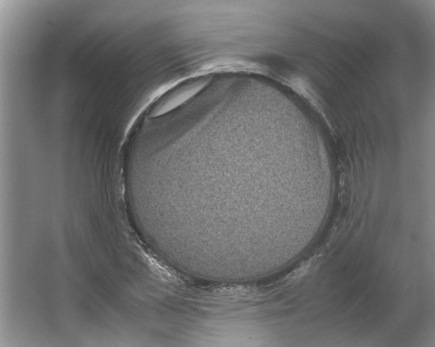 X0000066520973200604141809