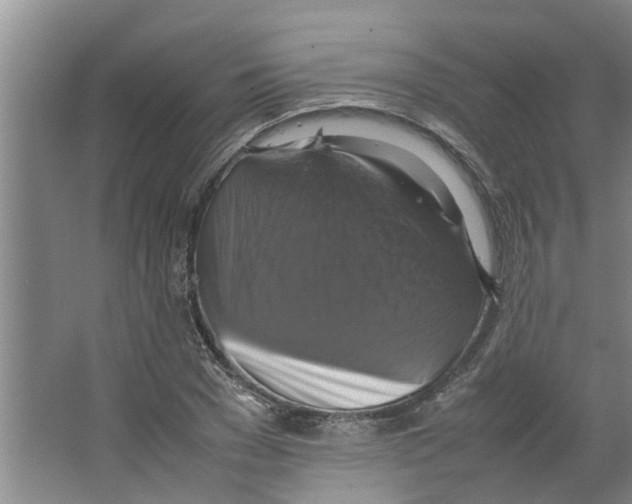 X0000066520977200604141809