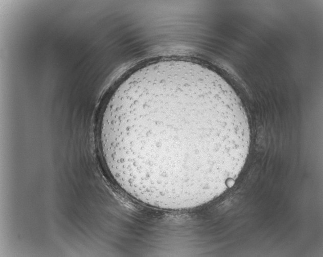 X0000066520978200604141809