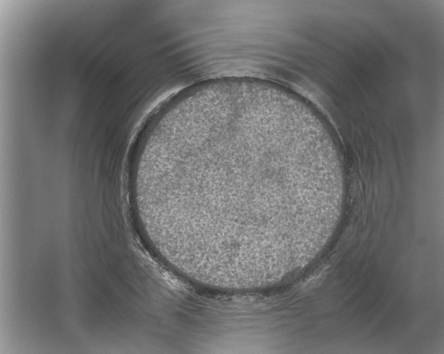 X0000066520979200604141809