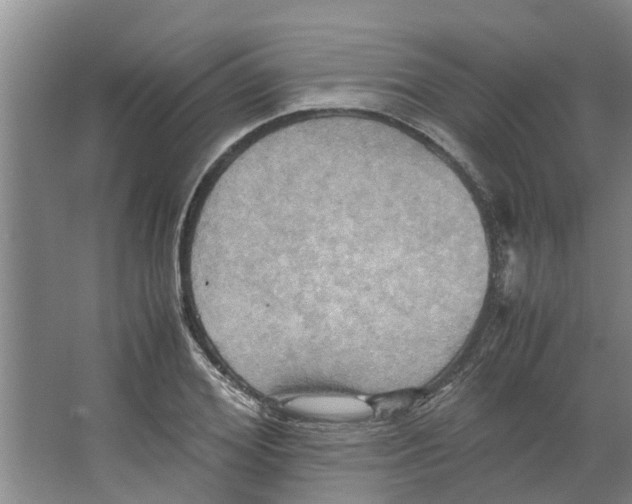 X0000066520980200604141809