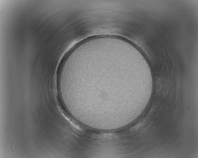 X0000066520982200604141809