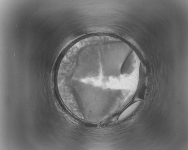 X0000066520983200604141809