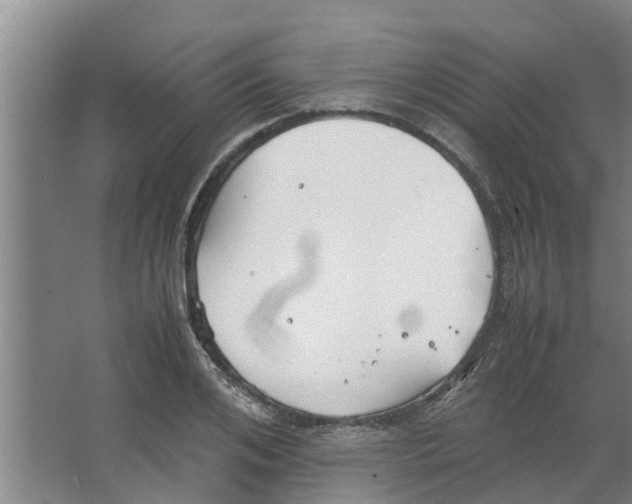 X0000066520984200604141809