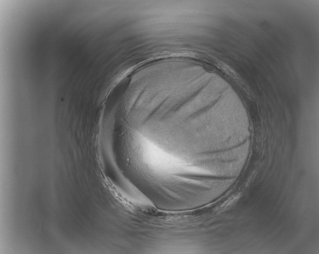 X0000066520985200604141809