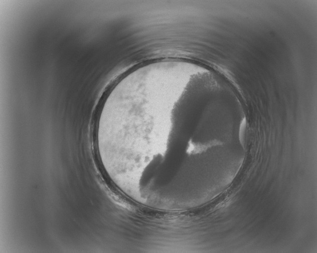 X0000066520987200604141809