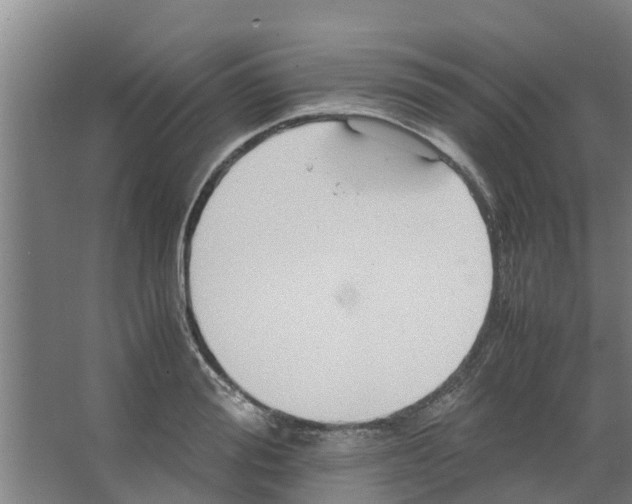 X0000066520988200604141809